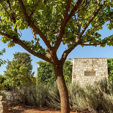 In Mit Privatem Pool By Interhome Holiday home Ostuni